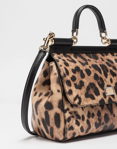 Shop Dolce & Gabbana Medium Sicily Handbag In Dauphine Leather In Leopard