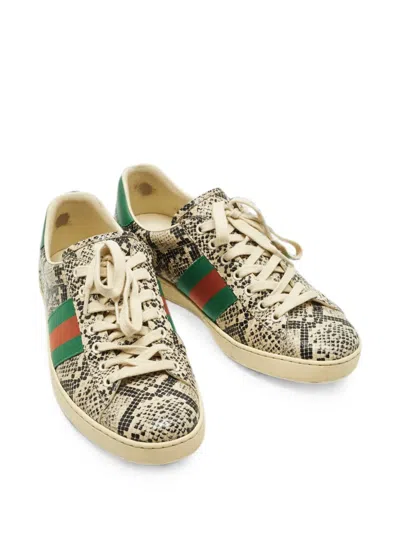 Pre-owned Gucci Ace Python-embossed Low-top Sneakers In Neutral