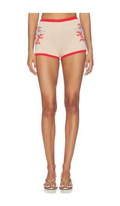 Retroféte Aralyn Knit Short In Multi