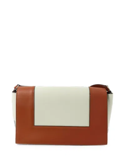 Celine Frame Shoulder Bag In Brown