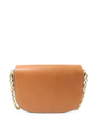 Celine Medium Maillon Triomphe Shoulder Bag In Brown