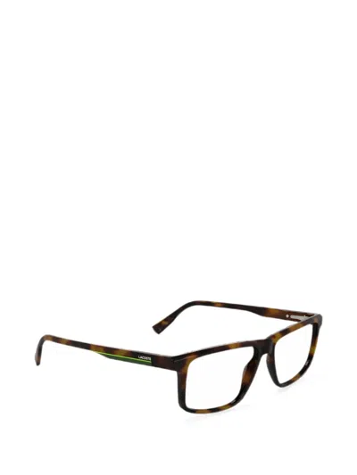 Lacoste Rectangle-frame Glasses In Black