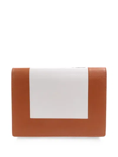 Celine Frame Wallet On Chain Shoulder Bag In Pink