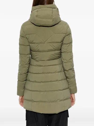 Canada Goose Clair Down Jacket In Green