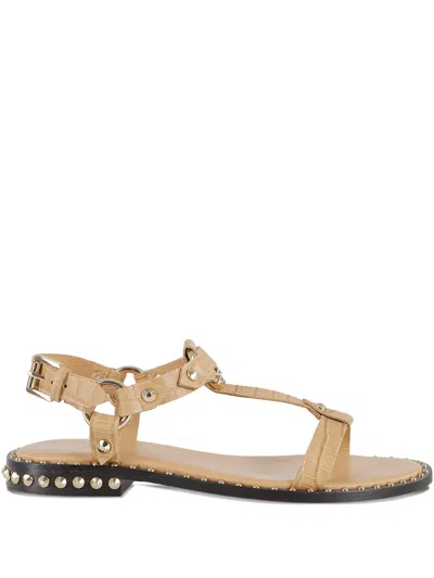 Ash Cocco In Brown