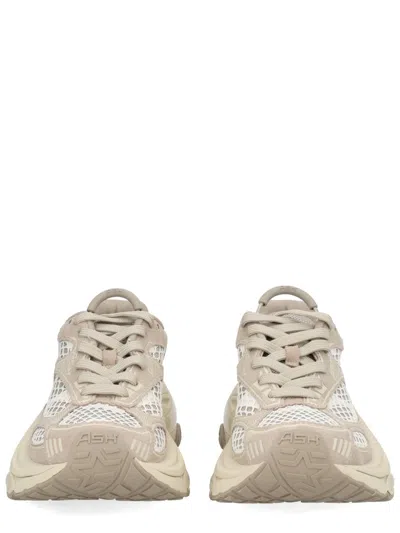 Ash Dragon Sneaker In Neutral