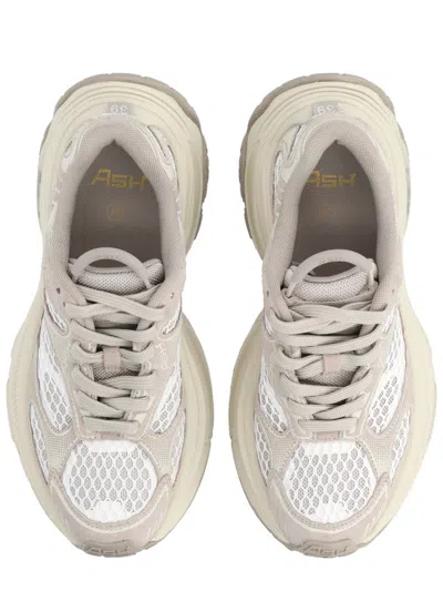 Ash Dragon Sneaker In Neutral