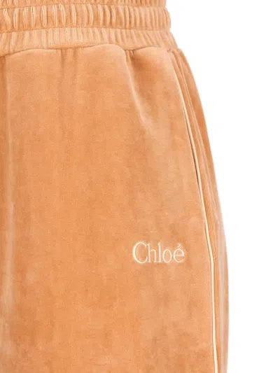 Chloé Drawstring Trousers In Brown