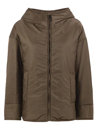 Max Mara The Cube Brown Solid Hood Jacket In Brown