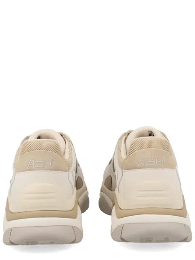 Ash Sneaker Addict In Beige