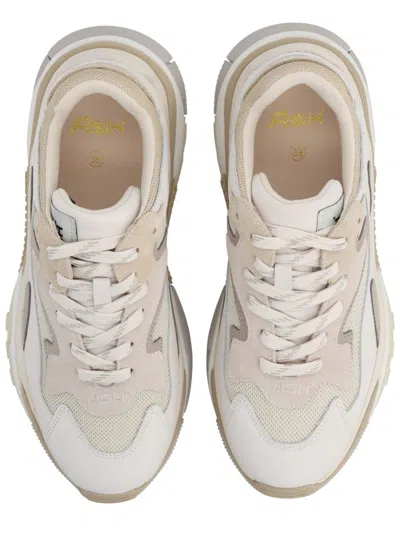 Ash Sneaker Addict In Beige