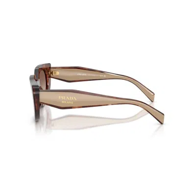 Prada Pr D02s 00k10s In Brown