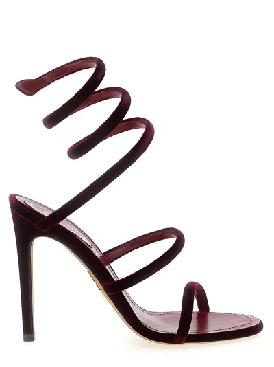 René Caovilla Rene Caovilla ヒールサンダル レディース カラー バーガンディー In Burgundy