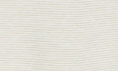 Nicoby Performance Mini Stripe Raglan T-shirt In Brown