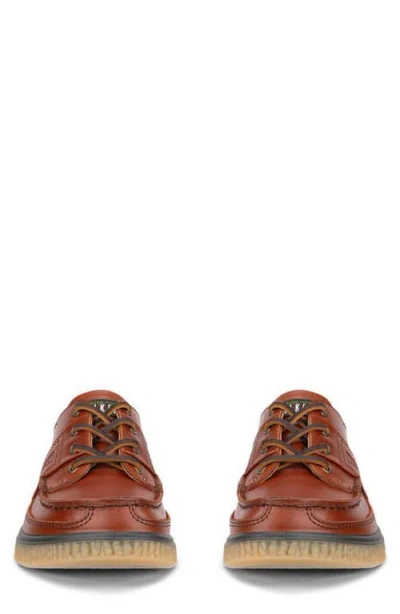 Ecco Walker 3.0 Waterproof Sneaker In Multi