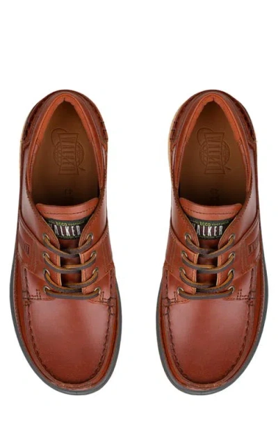 Ecco Walker 3.0 Waterproof Sneaker In Multi
