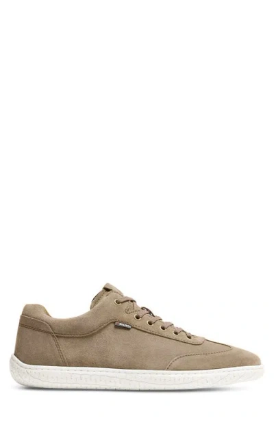 Piloti Shift Sneaker In Brown