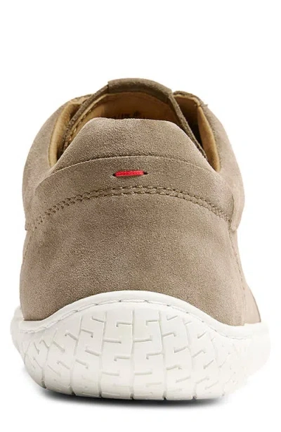Piloti Shift Sneaker In Brown