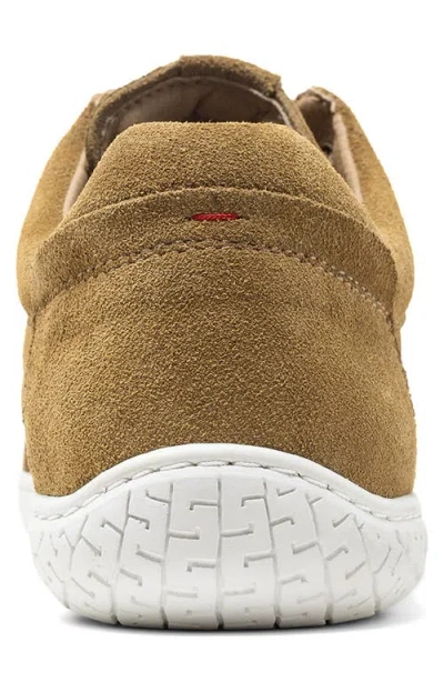 Piloti Shift Sneaker In Brown