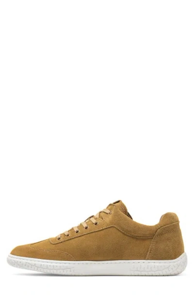 Piloti Shift Sneaker In Brown
