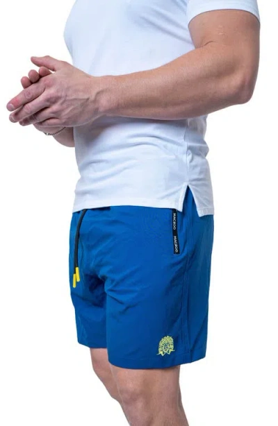 Maceoo Lion Solid Blue Swim Trunks In Blue