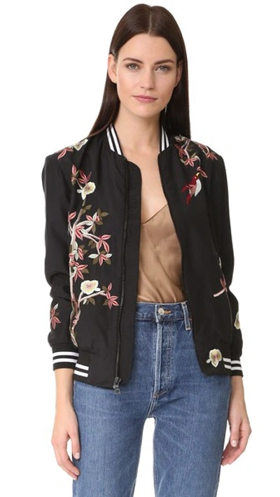 Alice And Olivia 'lila' Floral And Bird Embroidered Satin Bomber Jacket In 主色黑色