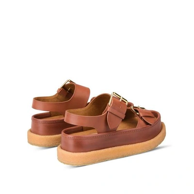 Shop Stella Mccartney Sandals In Praline