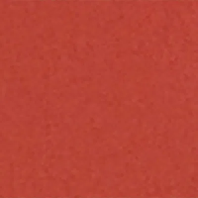 Bonpoint Cotton Trousers In Red