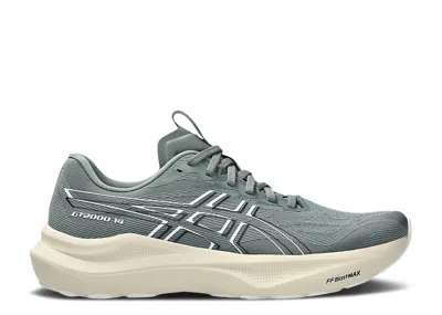 Asics Gt-2000 14 In Gray