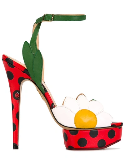 Charlotte Olympia - Petal Sandals  In Red