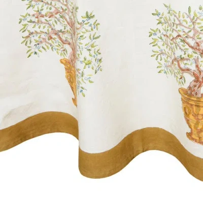 Couleur Nature Olive Tree Tablecloth