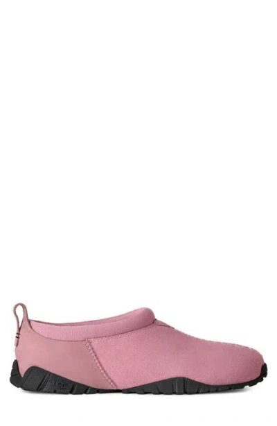 Ugg Tasman Flex In Purple