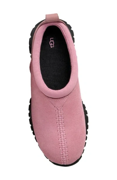 Ugg Tasman Flex In Purple