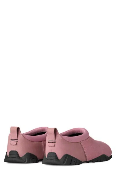 Ugg Tasman Flex In Purple