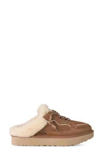 Ugg Suede Lowmel Mules In Brown