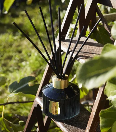 Trudon Figuerie Diffuser In Blue