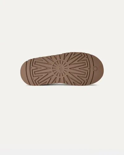 Ugg Tazz Ii 1174471-che Slipper 6 Chestnut Suede Round Toe Slip-on Rhs8109 In Animal Print