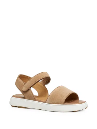 Geox Nebula 2.0 C S Touch-strap Sandals In Multi