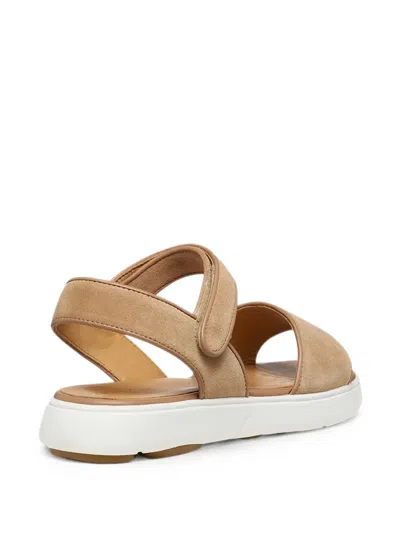 Geox Nebula 2.0 C S Touch-strap Sandals In Multi