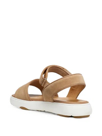 Geox Nebula 2.0 C S Touch-strap Sandals In Multi