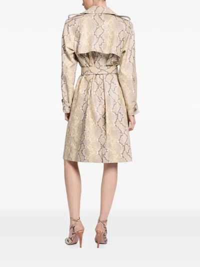 Elie Saab Python-print Double-breasted Coat In Neutral