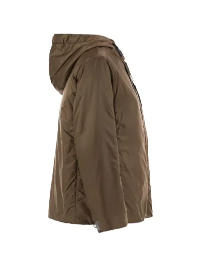 Max Mara The Cube Greenh Drawstring Hooded Jacket In Brown
