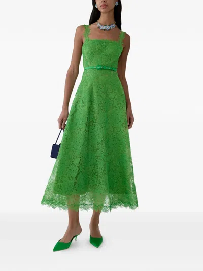Carolina Herrera 수국 레이스 미디 드레스 In Multi