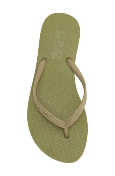 Brizza Flip Flop In Multi