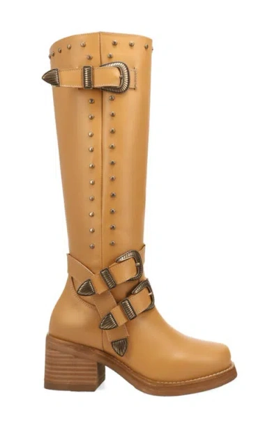 Dingo Fillmore Studded Knee High Boot In Brown