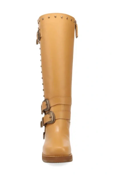 Dingo Fillmore Studded Knee High Boot In Brown