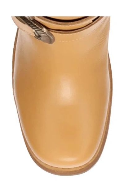 Dingo Fillmore Studded Knee High Boot In Brown