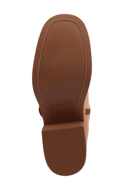 Dingo Fillmore Studded Knee High Boot In Brown