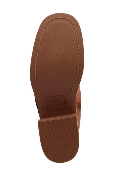Dingo Fillmore Studded Knee High Boot In Brown