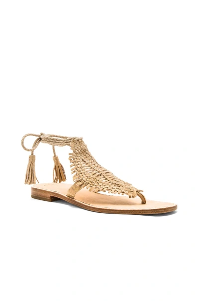 Shop Joie Kacia Sandal In Warm Gold